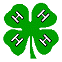 Centaurs 4-H Horse Club