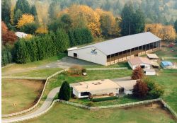 Equestrian Boarding Facility and Equine Chiropractic Services and English, Western, Dressage lessons